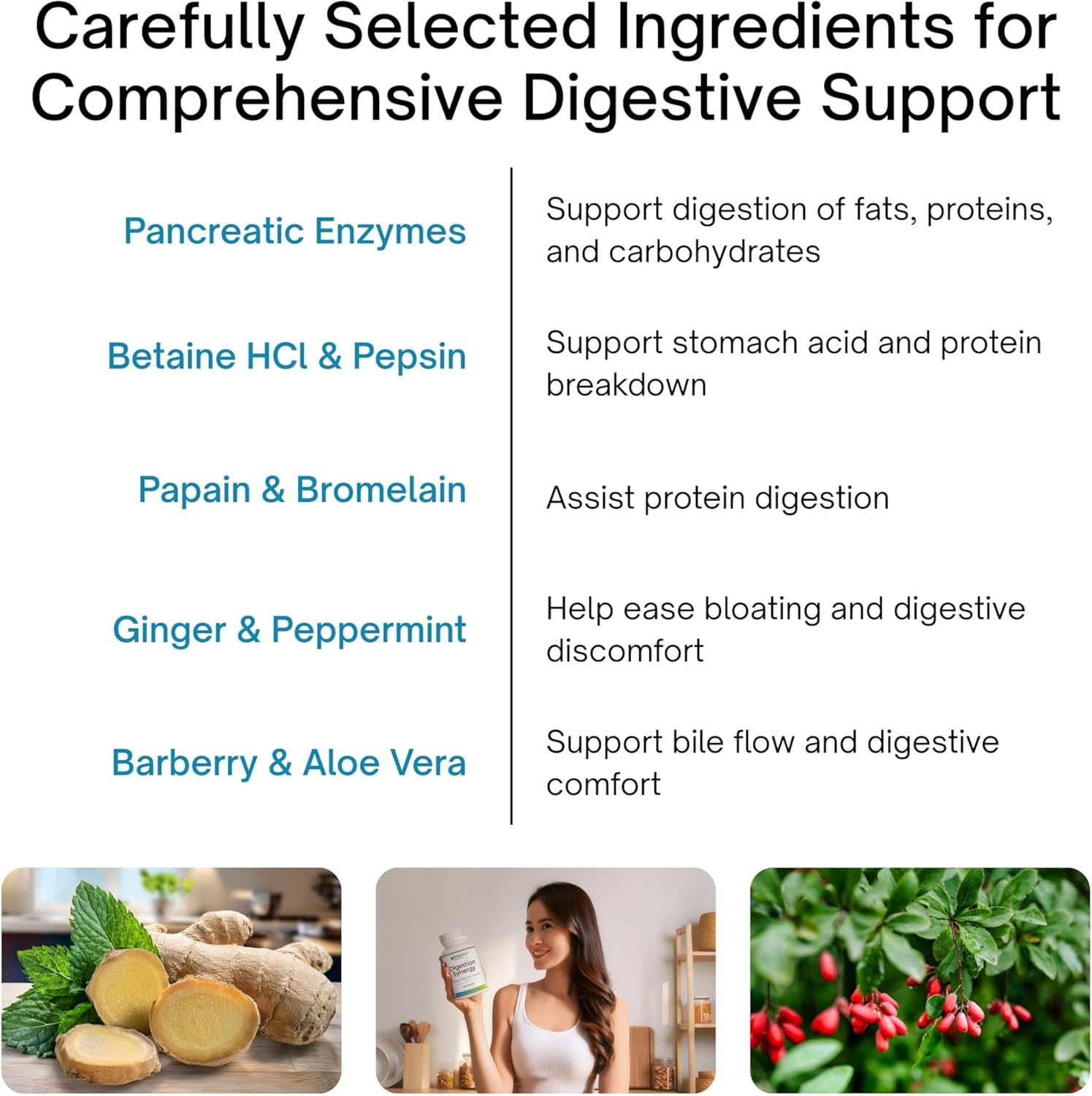 List of digestive support ingredients with images and descriptions on a white background